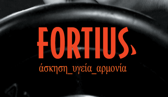 Ο χώρος FORTIUS GYM